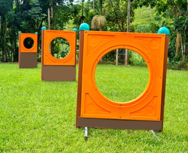 Salto Pet Agility - Image 2